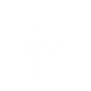 dominik-wiltos-logotyp_Obszar roboczy 1